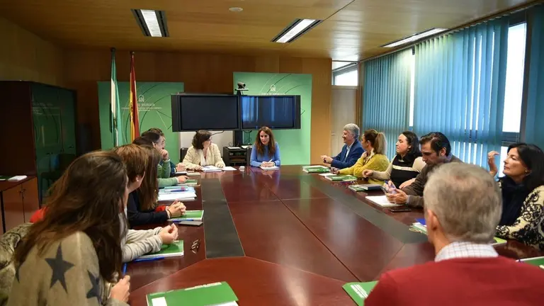 gema comercio 5