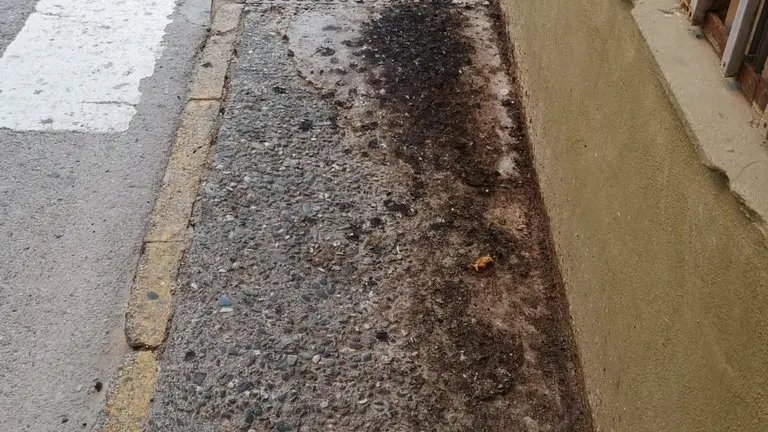 Calle Jose Luis Cano.
