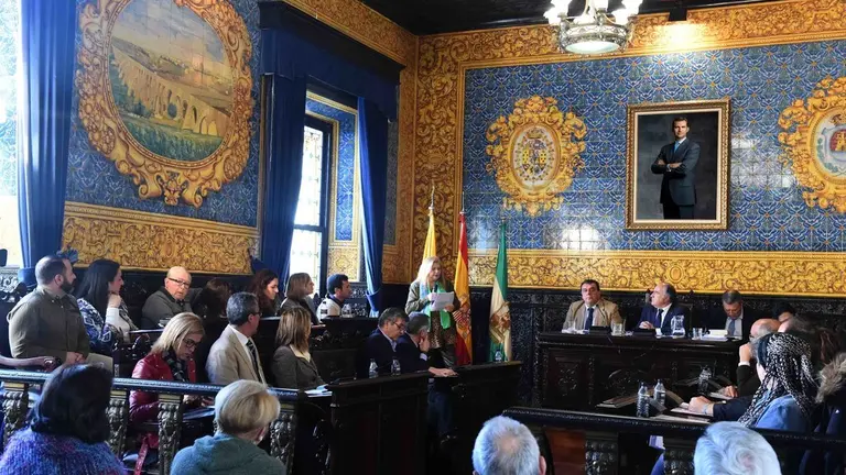 PLENO ORDINARIO