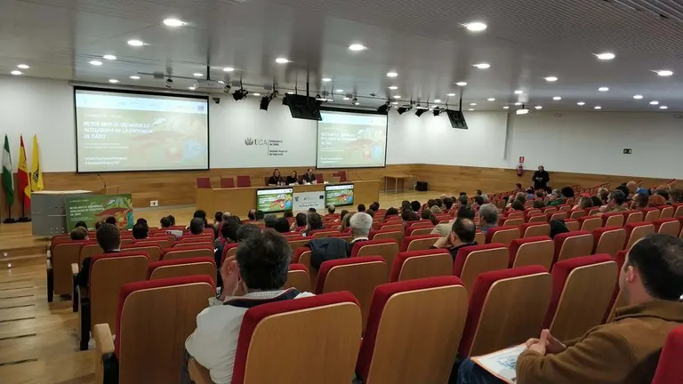 FOTO JORNADAS DESARROLLO INTELIGENTE