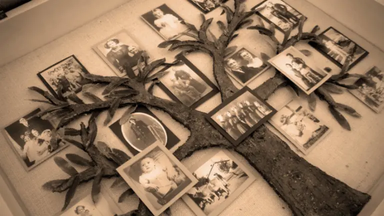 Genealog&iacute;a
