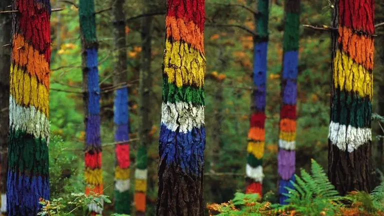 los-mejores-bosques-en-espana-para-perderse