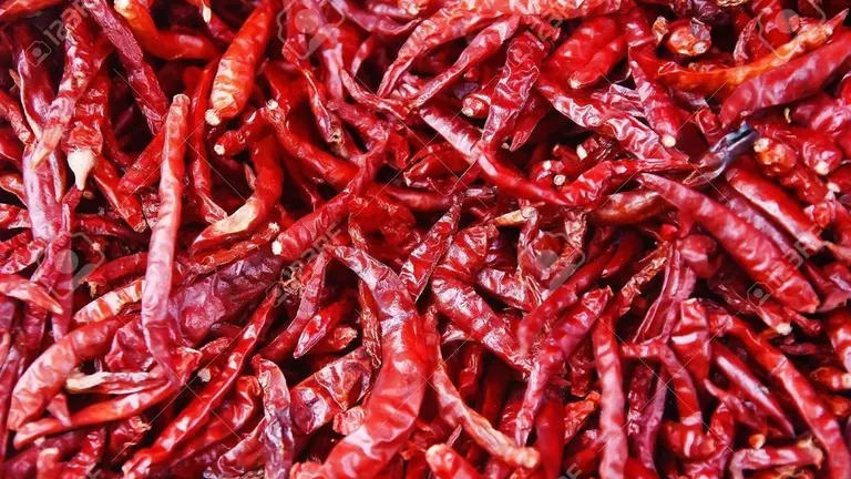 6189218-red-chilly-pepper-pile