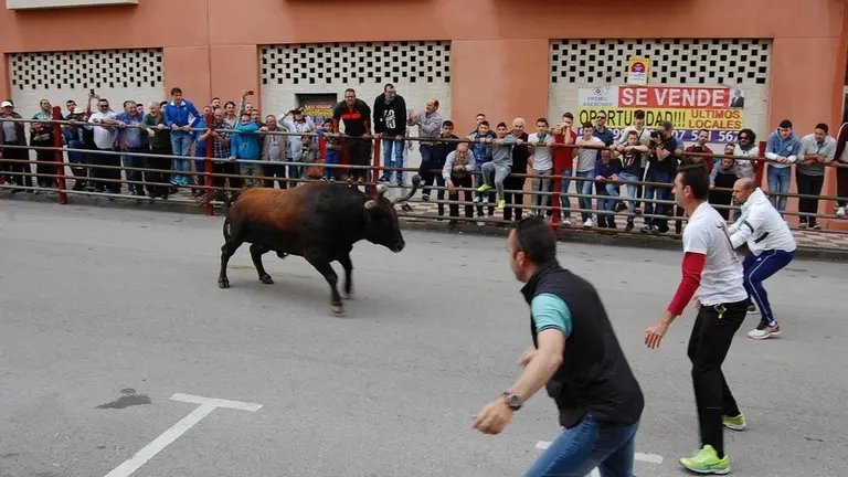 toro embolao