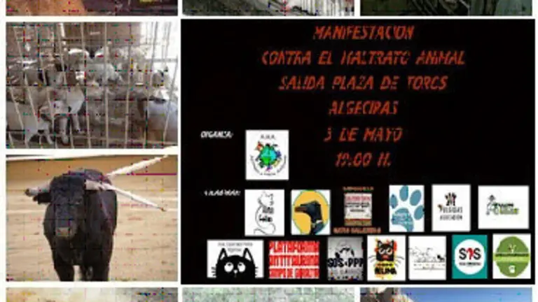 maltrato