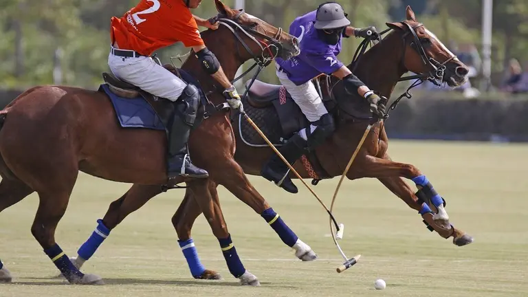 polo