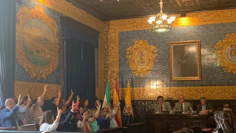 pleno extraordinario