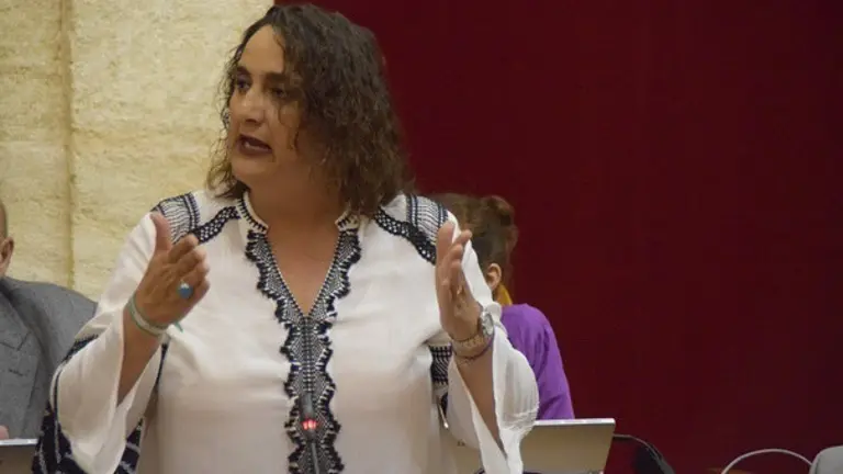 Adelante Andaluc&Atilde;&shy;a pide la comparecencia del Gobierno andaluz para que informe de las medidas sobre el Brexit



&Atilde;ngela Aguilera, parlamentaria de Adelante Andaluc&Atilde;&shy;a por C&Atilde;&iexcl;diz





9/11/2019