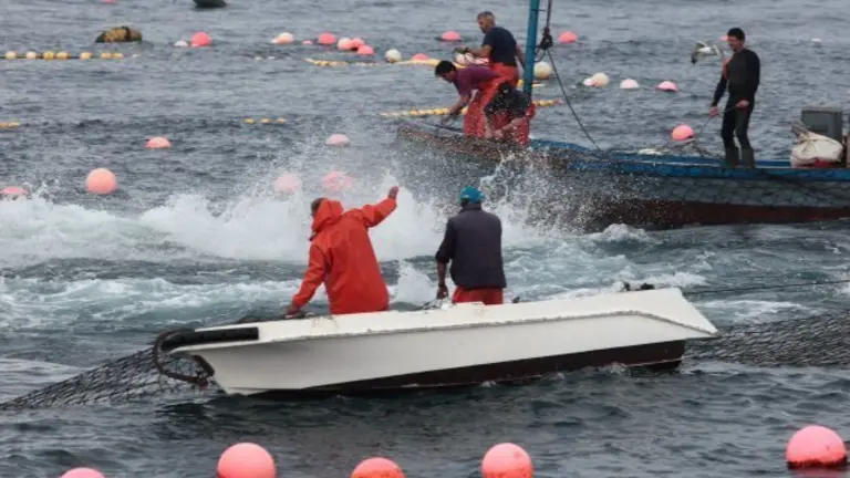 pescadores