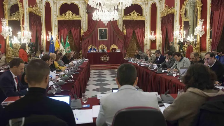 Pleno de Diputaci&oacute;n.