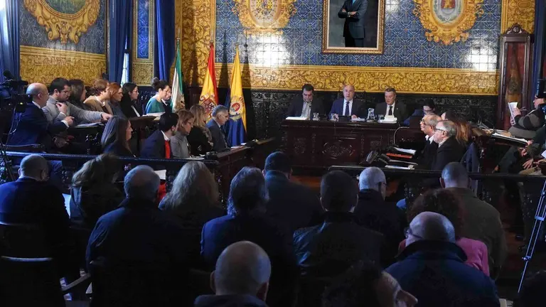 PLENO ORDINARIO
