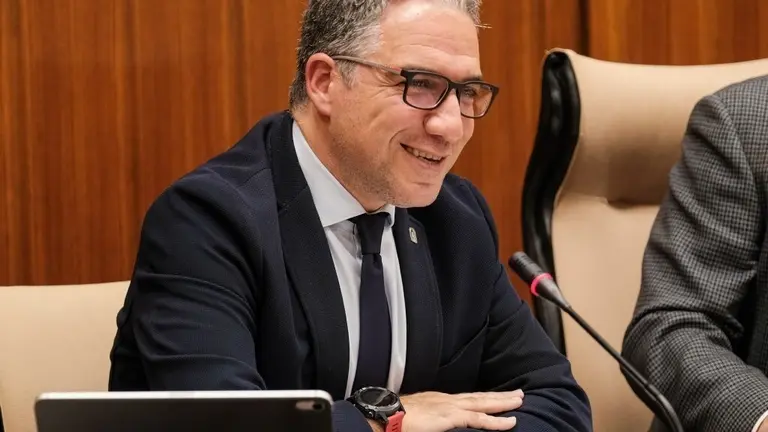 EuropaPress_2656290_El_consejero_de_la_Presidencia_Administraci&oacute;n_P&uacute;blica_e_Interior_de_la_Junta_de_Andaluc&iacute;a_El&iacute;as_Bendodo_comparece_en_comisi&oacute;n_parlamentaria_