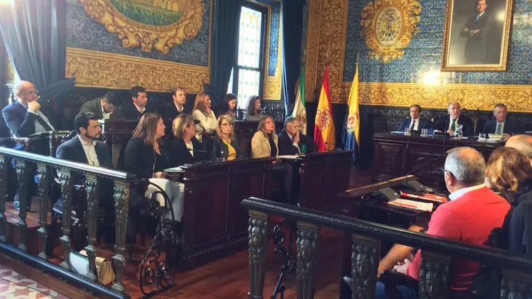 Pleno sanidad