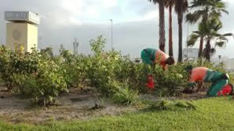 parques y jardines