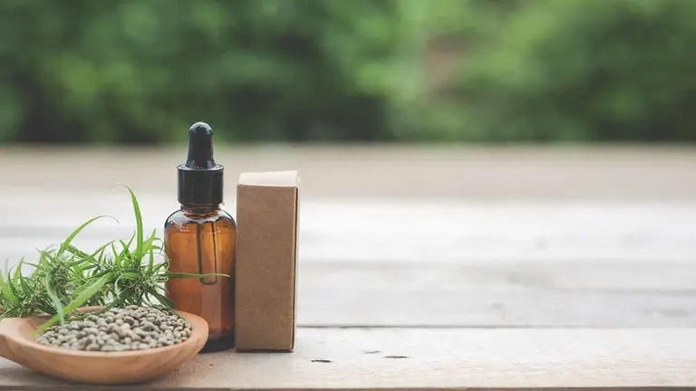 Salud & Cannabis: Ventajas de comer semillas de cannabis