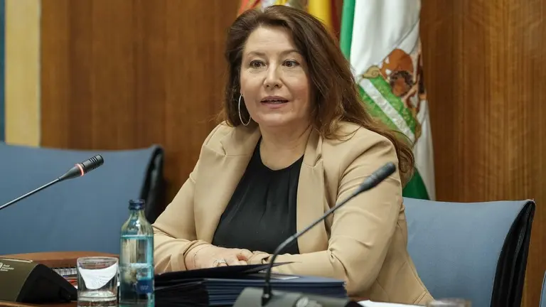 EuropaPress_3169454_carmen_crespo_comision_parlamentaria