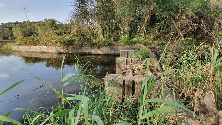R&iacute;o Palmones.