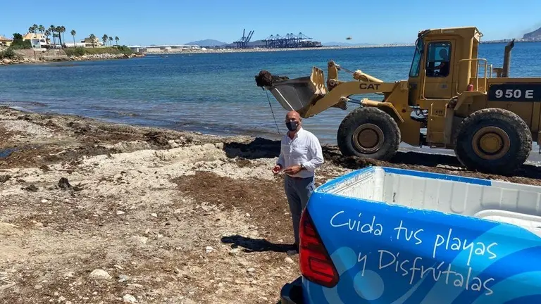 Retirada de algas en El Chinarral.
