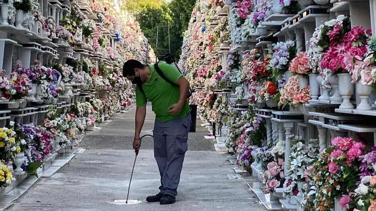 Un operario desinfecta una calle del cementerio.