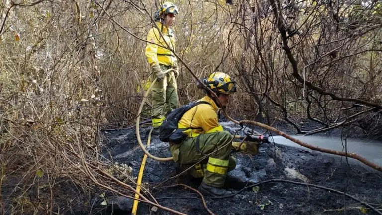 Bomberos act&uacute;an en el incendio.