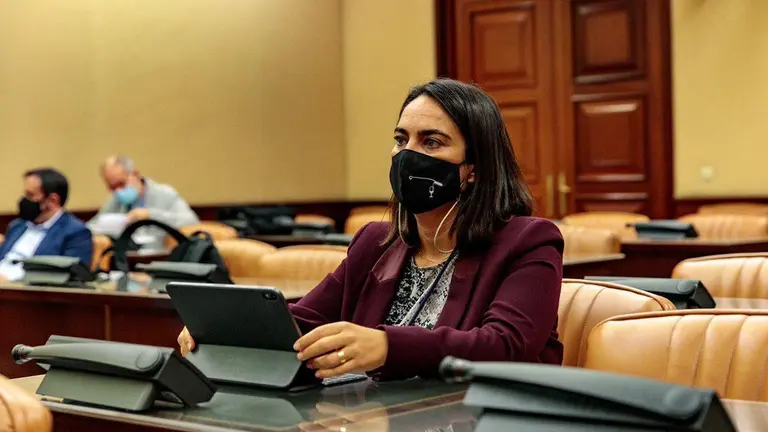 Mart&iacute;nez, en la comisi&oacute;n de industria.