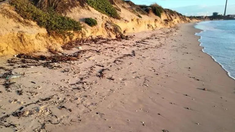 Estado playa de El Rinconcillo.