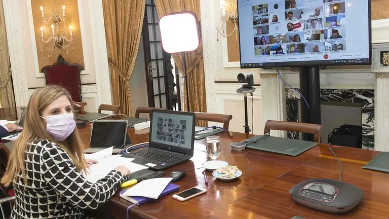 Pleno de Diputaci&oacute;n