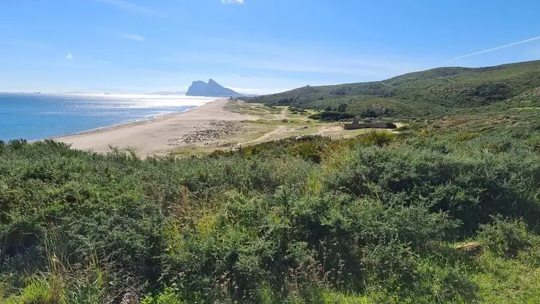 Zona donde se ubicar&iacute;a el proyecto.