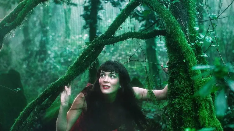 COMARCA NO TE ESCONDAS: Bosque encantado