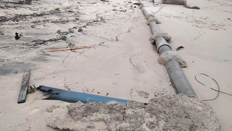 Tuber&iacute;as al descubierto en la playa.