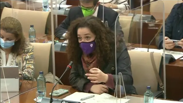 Inmaculada Nieto, en la Comisi&oacute;n de Salud y Familias de ayer.