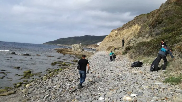 Limpieza del litoral.