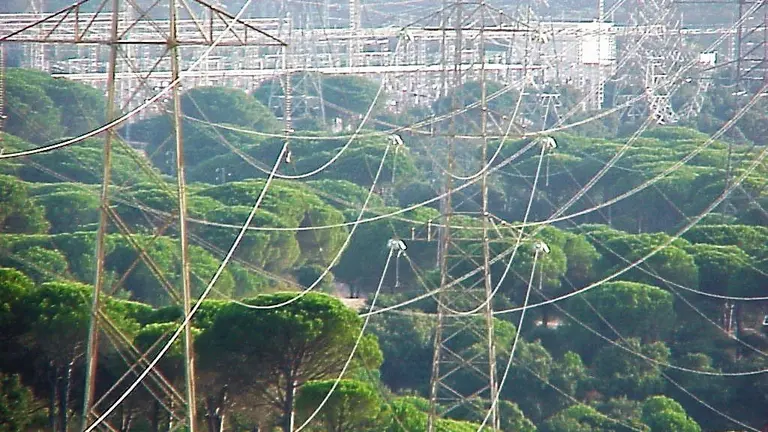Cables en el Pinar.
