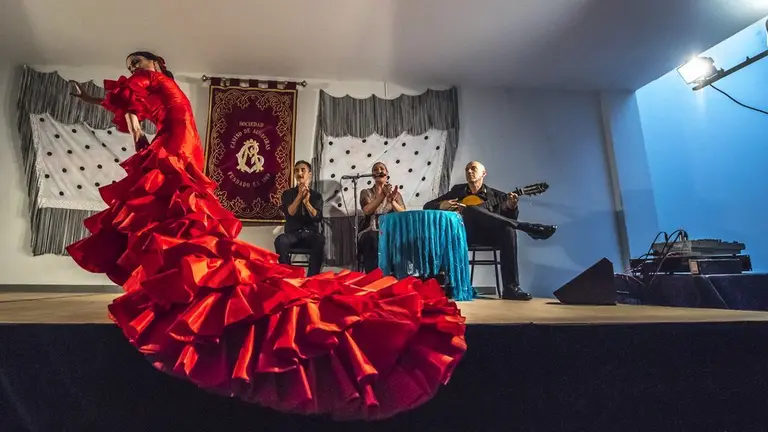 Los flamencos de Algeciras/Tomoyuki Hotta