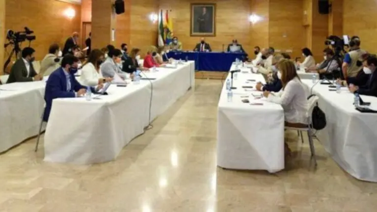 Imagen del pleno.