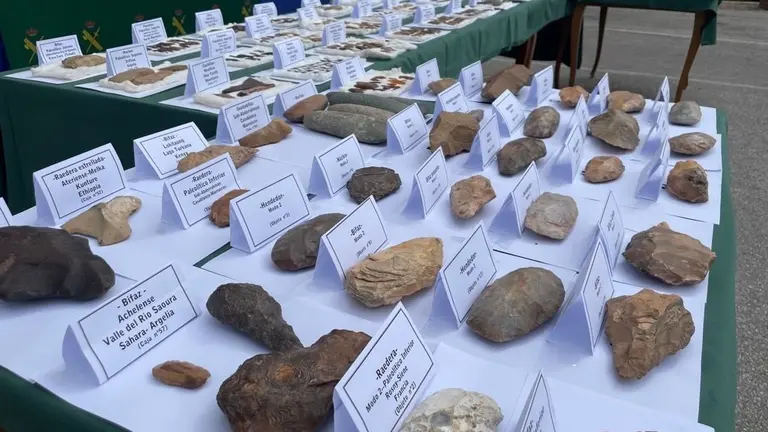 Piezas Prehist&oacute;ricas.