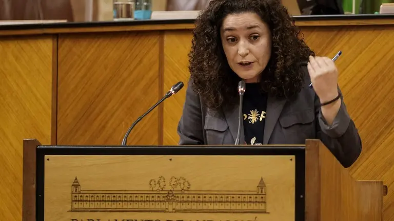 Inmaculada Nieto en intervenci&oacute;n