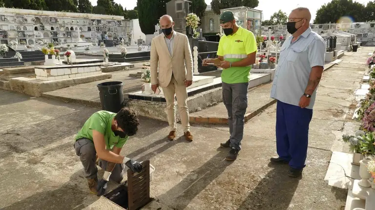 Trabajos en el cementerio antiguo.