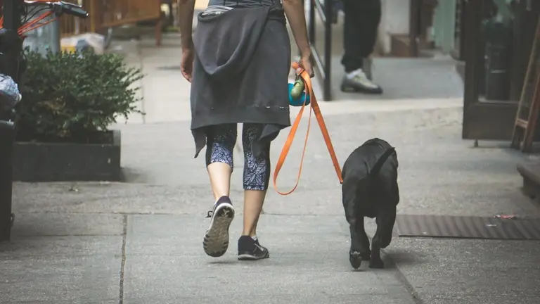 un hombre pasea con su perro