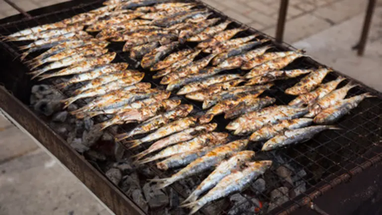 sardinas
