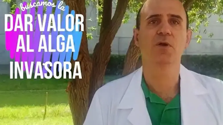 foto alga