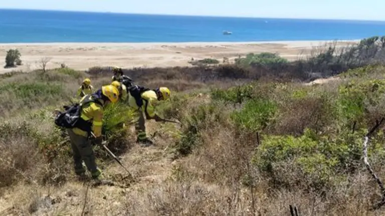 Bomberos, durante el operativo.