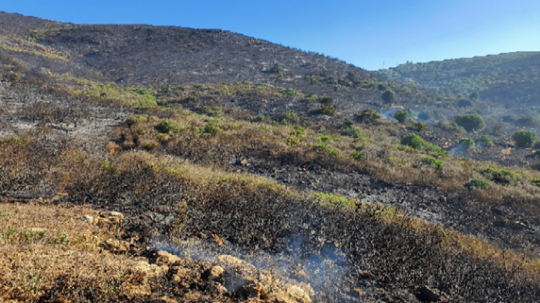 Incendio.