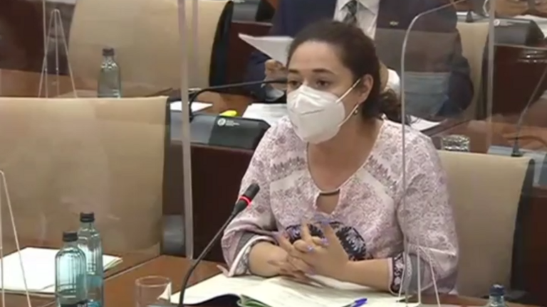 I. Nieto, en la Comisi&oacute;n de Salud de hoy.
