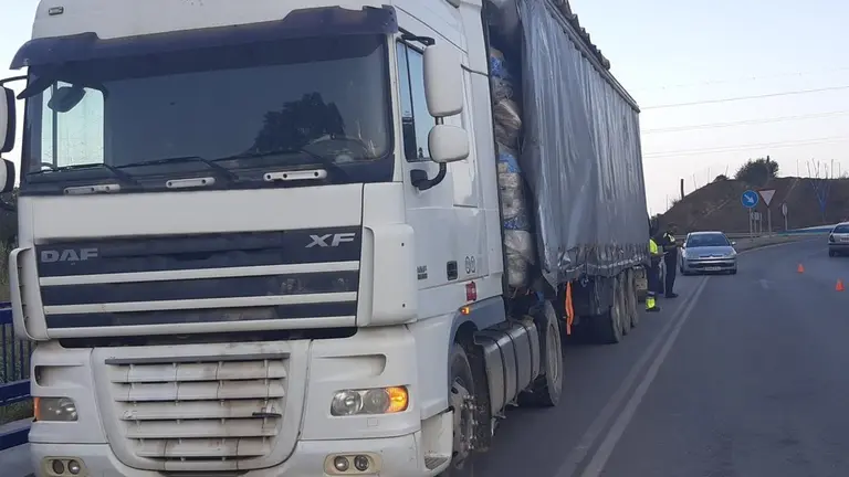 Imagen de la intervenci&oacute;n realizada en la tarde noche de ayer por la Polic&iacute;a Local