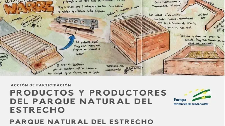 Nuevo proyecto (11)