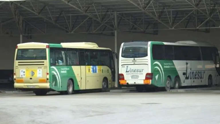 bus bb