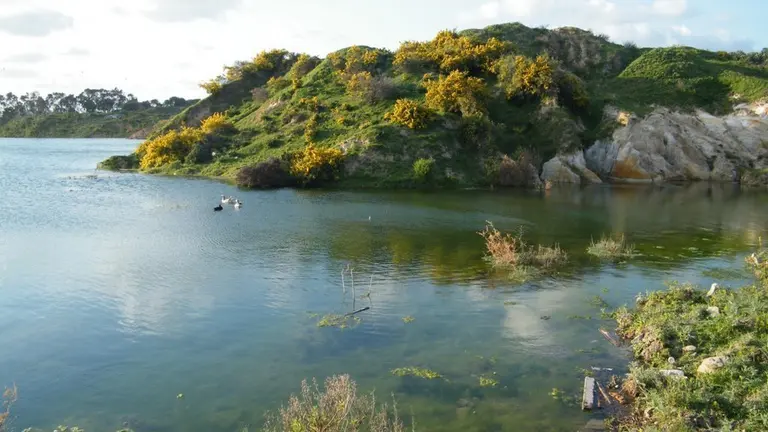 laguna 1
