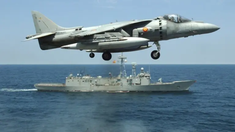 harrier