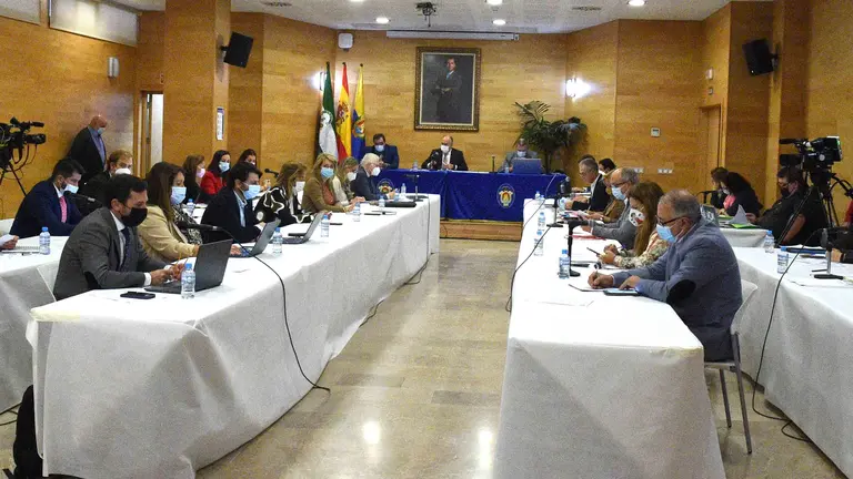PLENO ORDINARIO